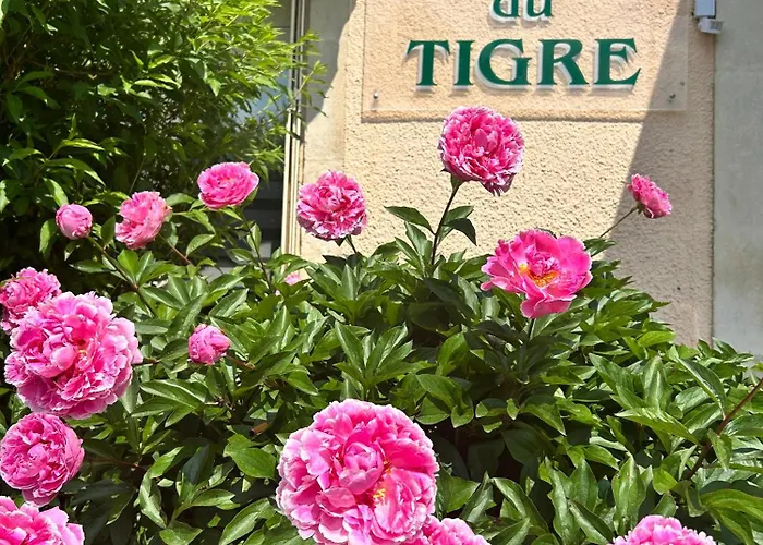 Cit'hotel Du Tigre Hotel 2*